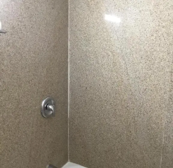 Standard-huone 2 Parivuodetta, Budget Inn Plainview