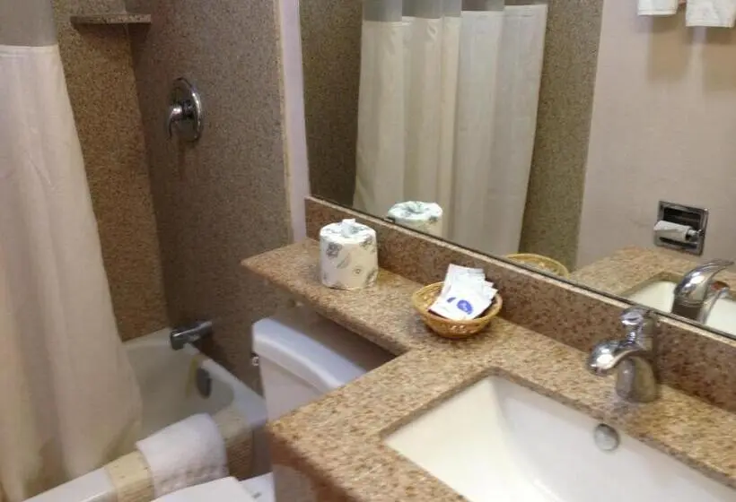 Standard-huone, Budget Inn Plainview