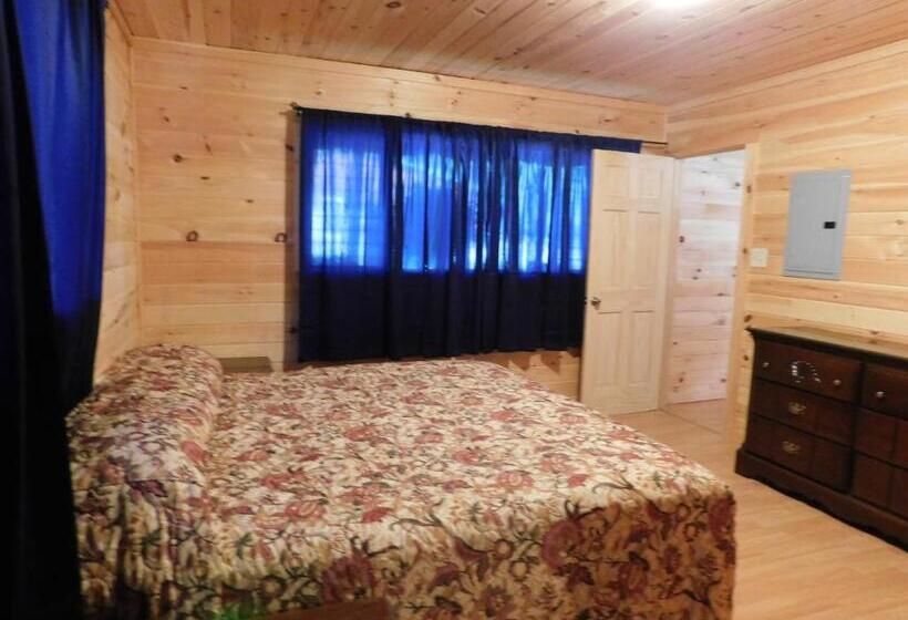 Люкс 3 Спальни, Olympian Resort Motel