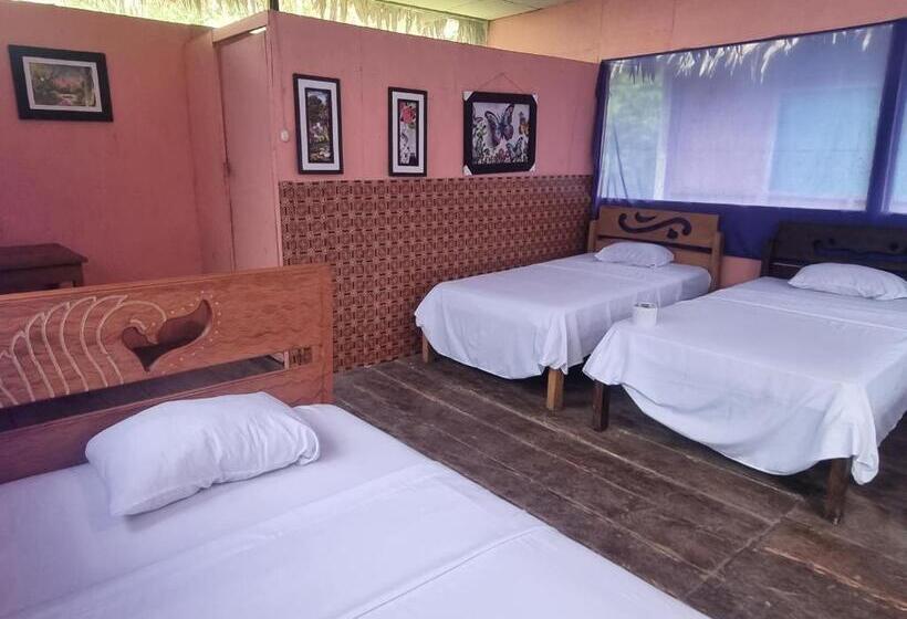 سرير فى غرفة مشتركه, Capinuri Expeditions