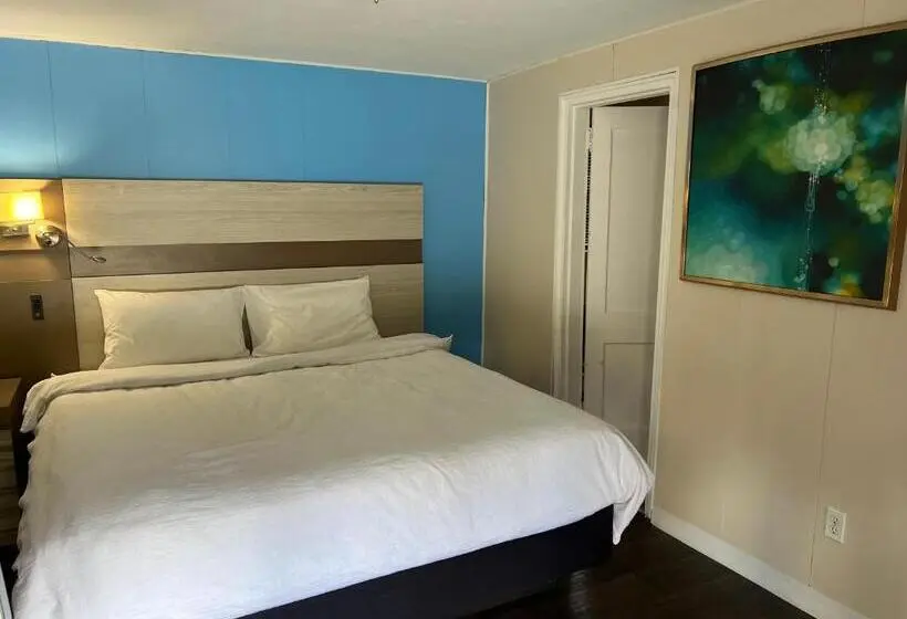 スタンダードルーム, Turbeville Inn & Suites I95