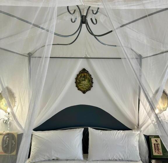 Номер Стандарт, Operà B&b