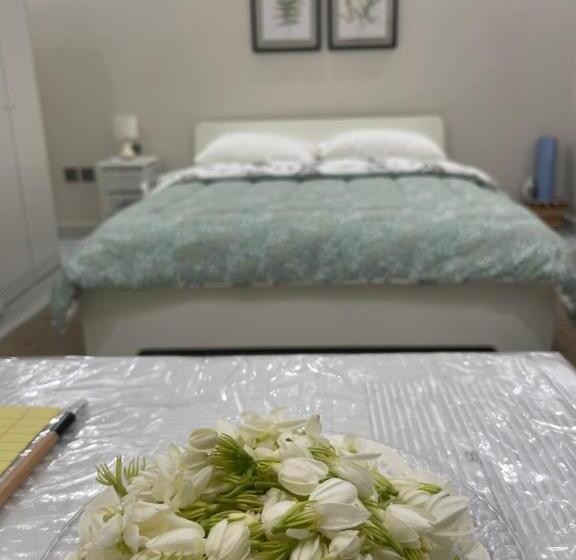 اتاق استاندارد, ملاذ غرفة أنيقة للسيدات والعوائل فقط