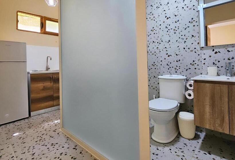 استودیو استاندارد با چشم‌انداز, Lemon House Borsh