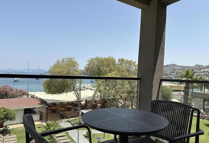 غرفة بريميوم رباعية, Mare Alba