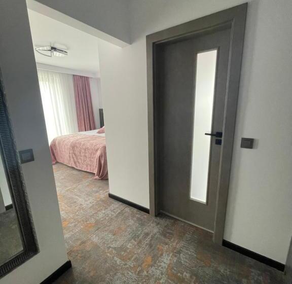 Номер Deluxe, La Borsanu