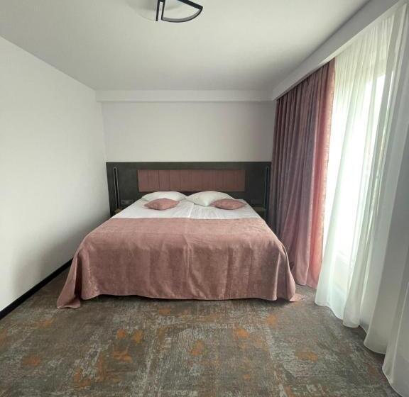 Номер Deluxe, La Borsanu