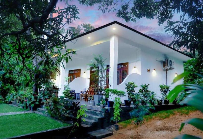 스탠다드 룸, Digital Somay