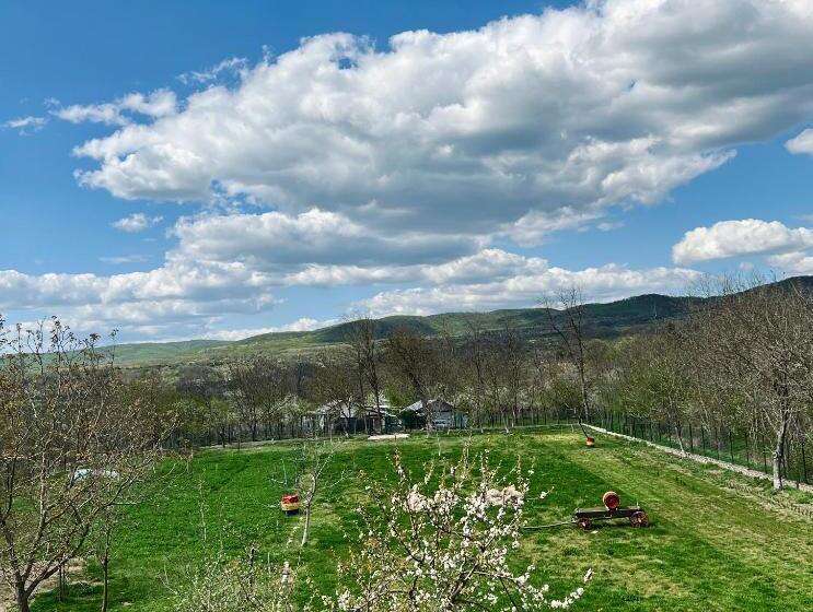 スタンダードルーム, Domeniul Mortasifu