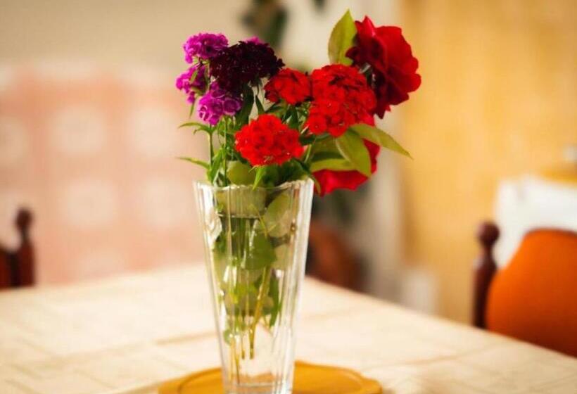 آپارتمان 2 خوابه, Ethno House Mira