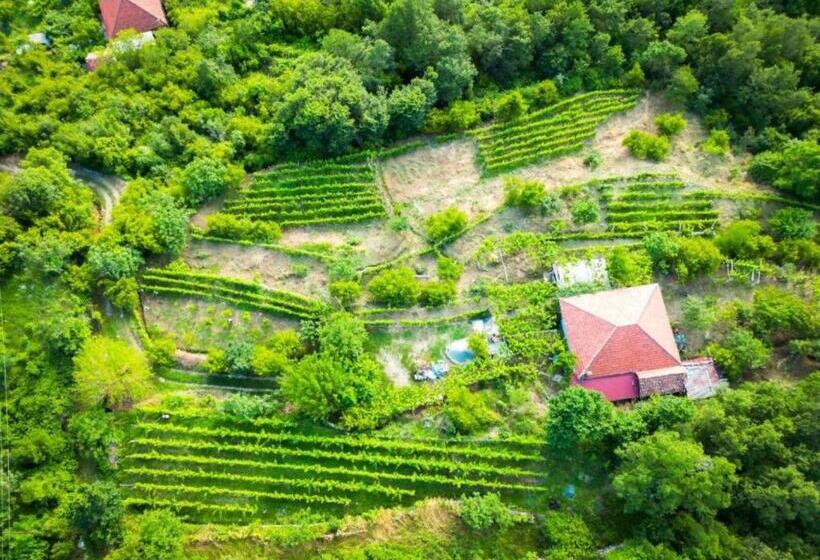 خانه 1 خوابه, Ethno House Mira