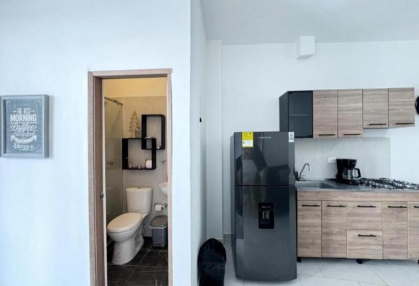 استودیوی استاندارد, Apartahotel Circunvalar Por Parceros Group