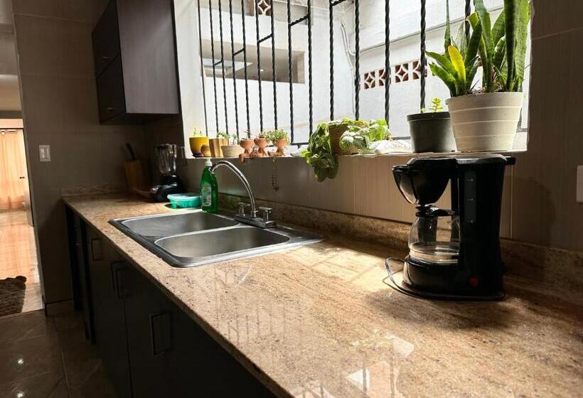 آپارتمان 1 خوابه با تراس, Apartahotel Circunvalar Por Parceros Group