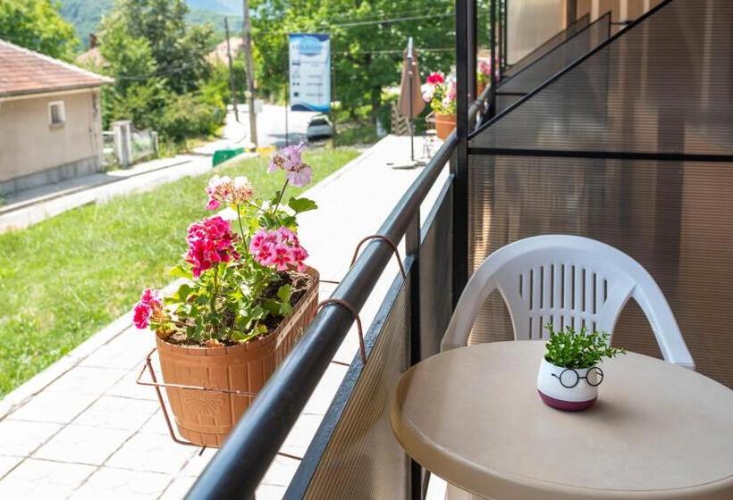 إستوديو قياسى مزودة بتراس, комплекс плавис