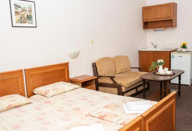 إستوديو قياسى مزودة بتراس, комплекс плавис