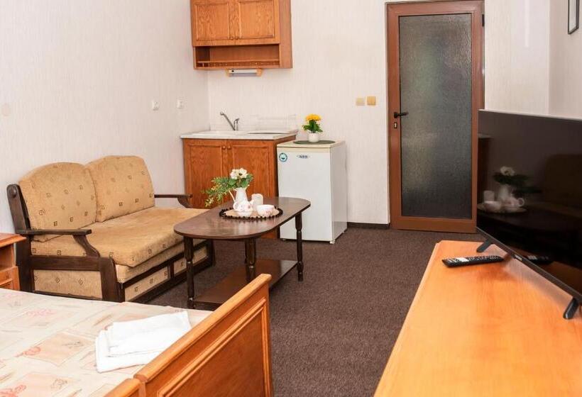 إستوديو قياسى مزودة بتراس, комплекс плавис