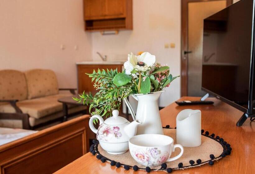 إستوديو قياسى مزودة بتراس, комплекс плавис