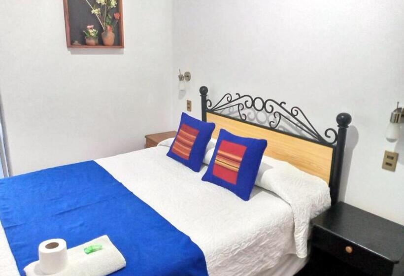 اتاق استاندارد یک نفره, Avenida