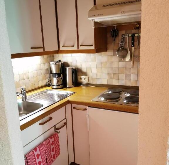 شقة غرفة واحدة, Riedhof