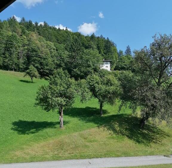 شقة غرفة واحدة, Riedhof