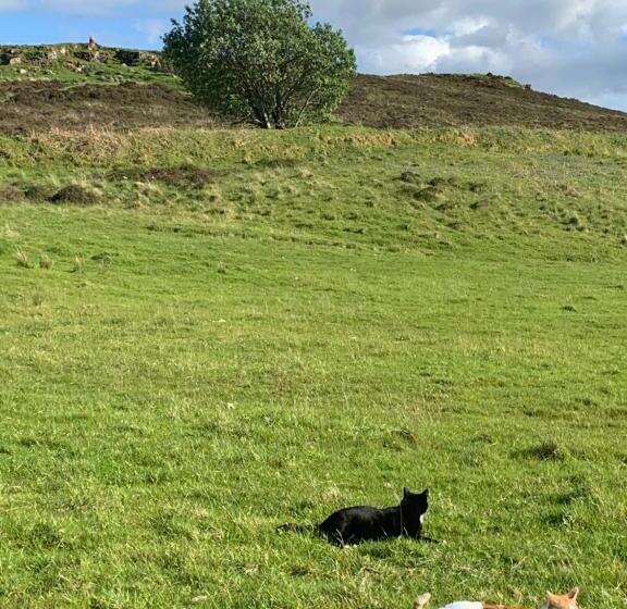 غرفة قياسية مطلة على الجبل, Cleadail Guest House