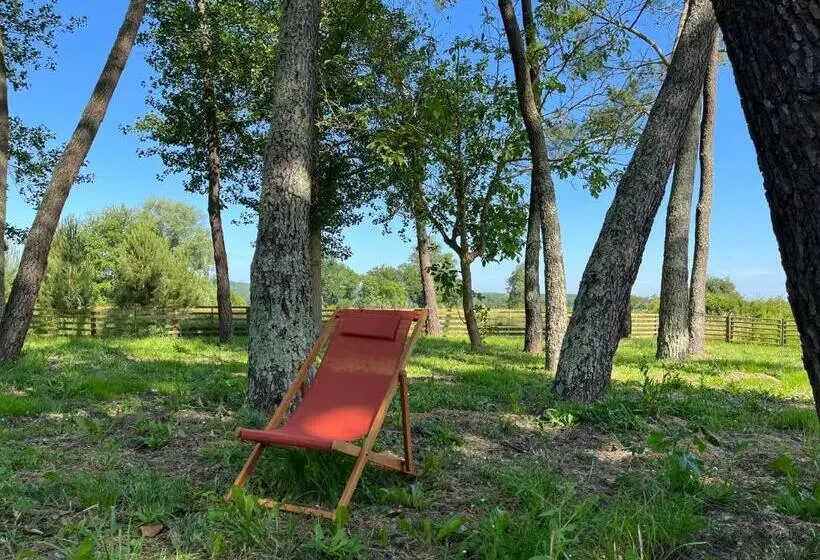 ガーデンビュースタンダードルーム, Hózhó Tempo   Sous Les Pins, Bed & Breakfast écofriendly & Slowlife Avec Sauna