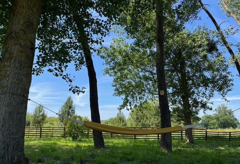 Номер Стандарт Вид на Сад, Hózhó Tempo Sous Les Pins, Bed & Breakfast écofriendly & Slowlife Avec Sauna