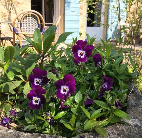 스탠다드 룸 가든 전망, B&b Chambre De Julie Le Jardin