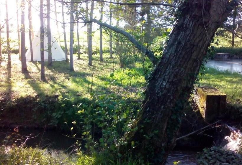 كوخ قياسي, Au Chat Qui Pêche