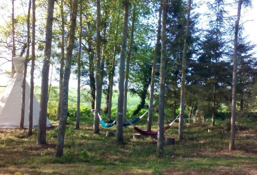 كوخ قياسي, Au Chat Qui Pêche