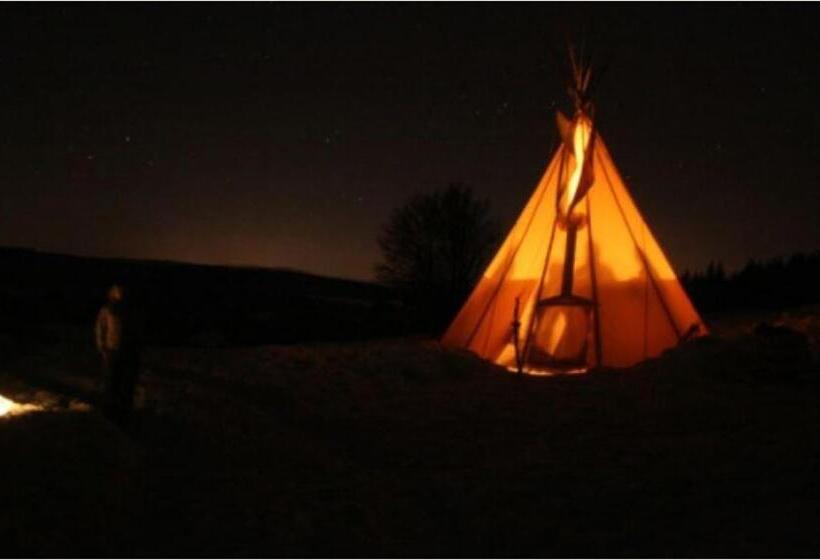 Standard Tent, Au Chat Qui Pêche