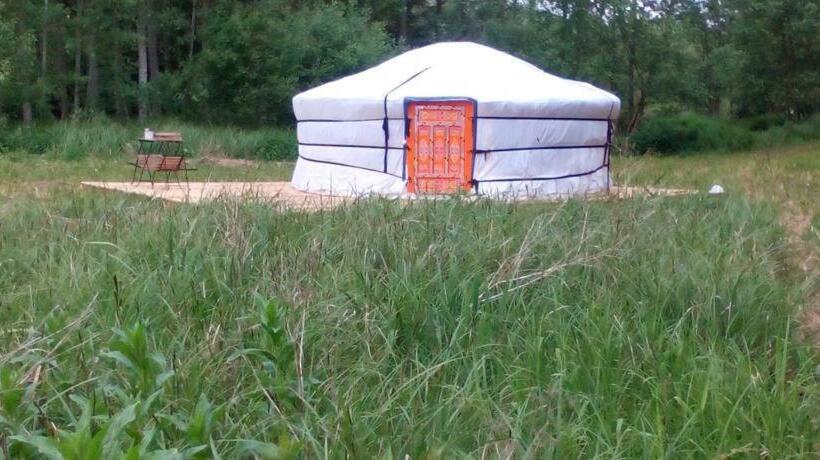 غرفة قياسية, Au Chat Qui Pêche