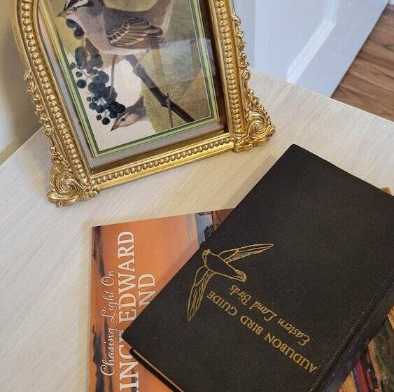 غرفة ديلوكس, Clinton Pond Bed And Breakfast