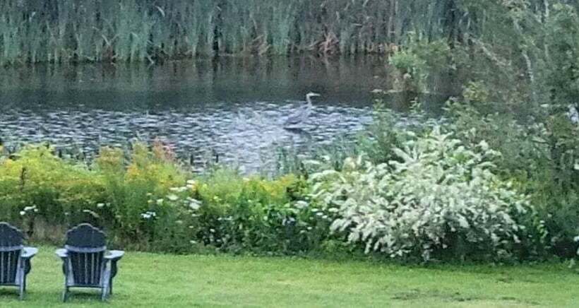 غرفة ديلوكس, Clinton Pond Bed And Breakfast