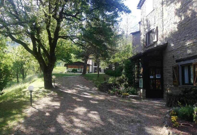 带园景的单人房, Agriturismo Il Poggiolo