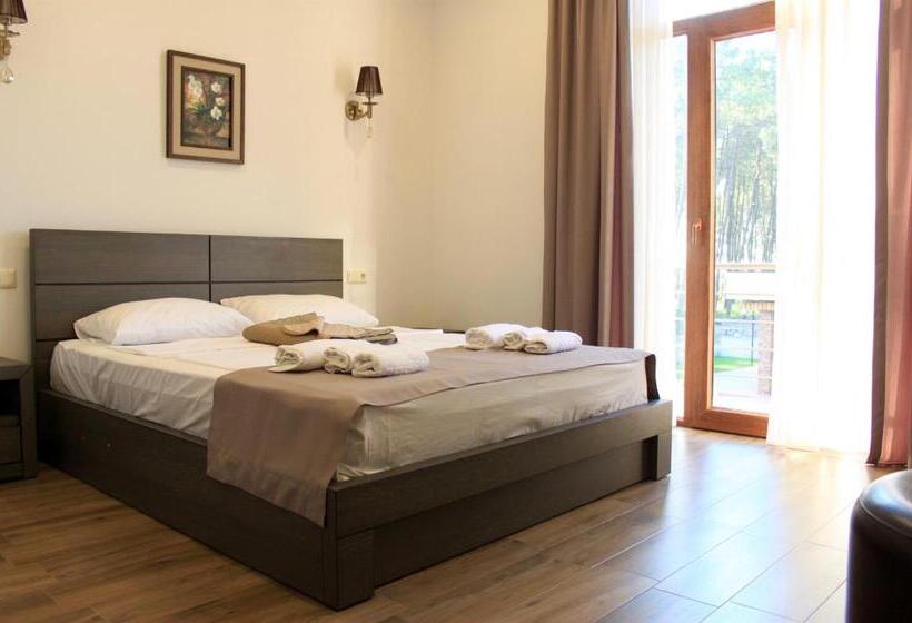 اتاق استاندارد با چشمانداز دریا, Kolkhi Shekvetili