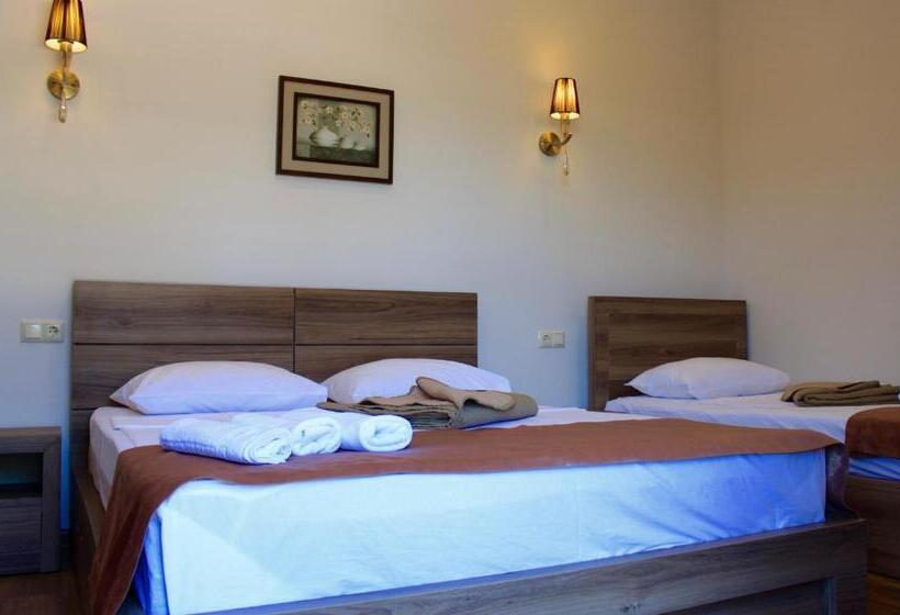 اتاق استاندارد سه نفره, Kolkhi Shekvetili