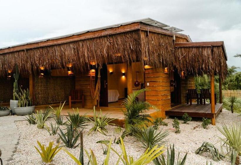 デラックススイート, Soledade Bangalôs Kauli Seadi