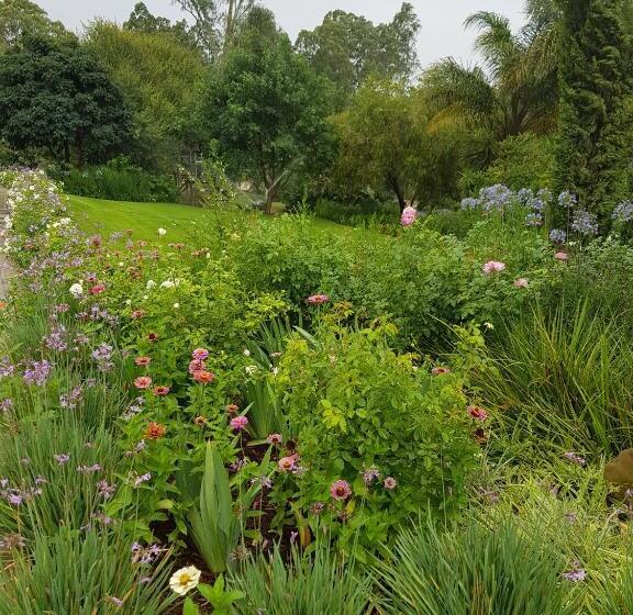 スタンダードバンガロー, Avoca River Cabins