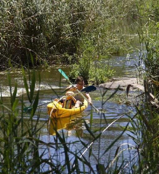 2ベッドルームハウス, Avoca River Cabins