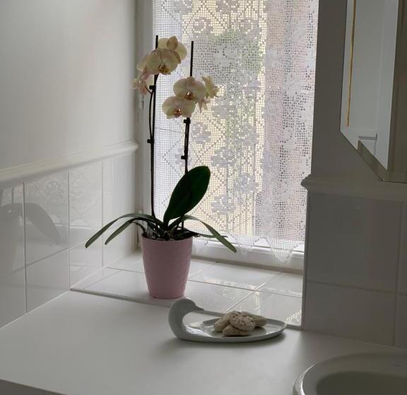 Номер Стандарт, Kertész Ház