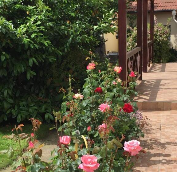 Номер Стандарт, Kertész Ház