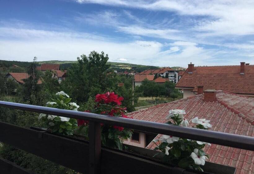 اتاق خانوادگی, Pansion Dušica