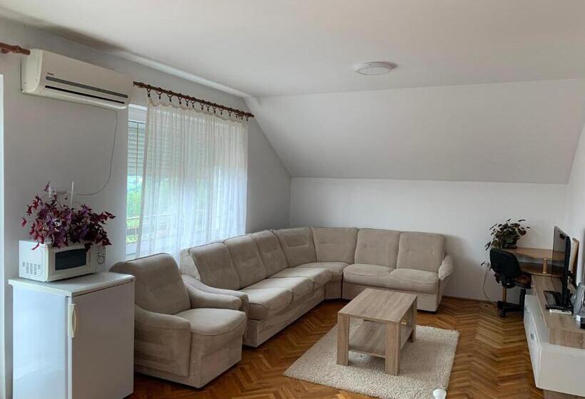 اتاق خانوادگی, Pansion Dušica