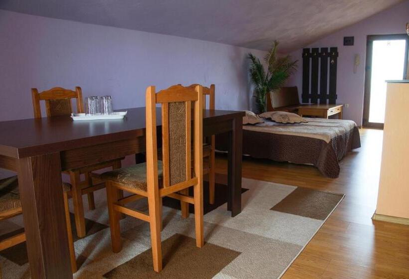 침실 1개 아파트, Pensiunea Nicol