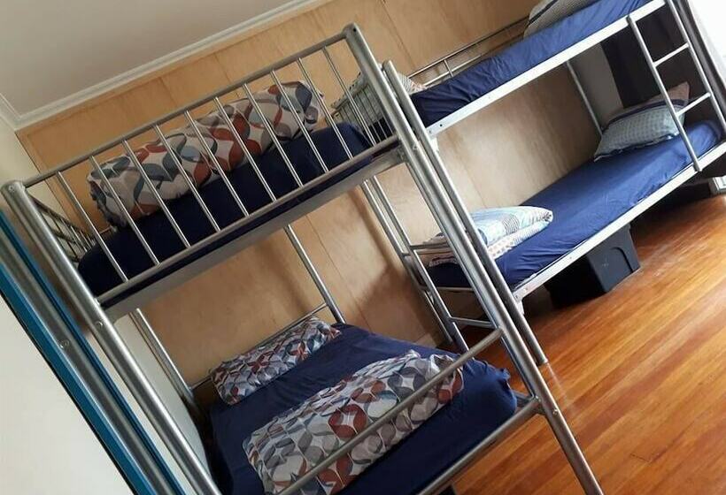 سرير فى غرفة مشتركه, Apple Tree Backpackers