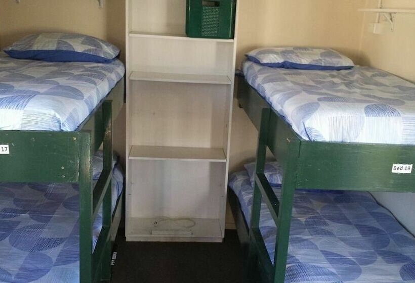 سرير فى غرفة مشتركه, Apple Tree Backpackers