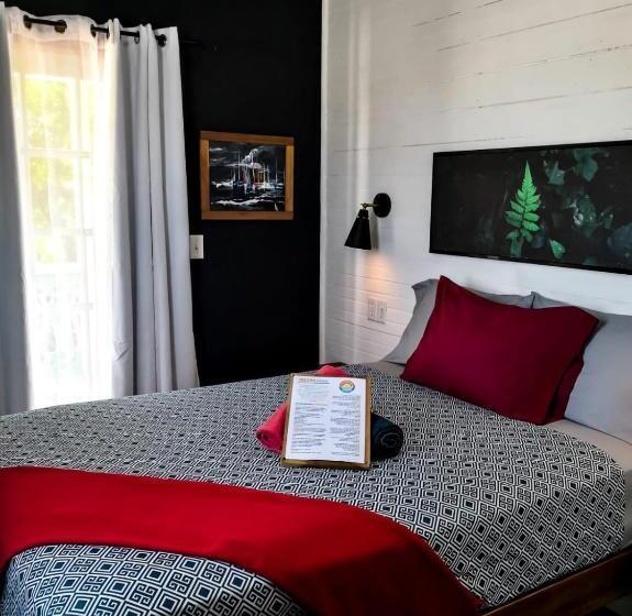 スタンダードルーム, Barrbra Bnb Over The Sea