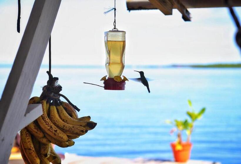 スーペリアールーム, Barrbra Bnb Over The Sea