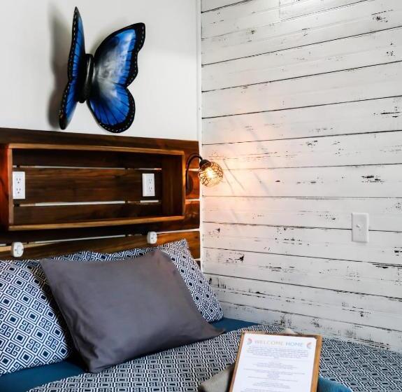 スタンダードルーム, Barrbra Bnb Over The Sea